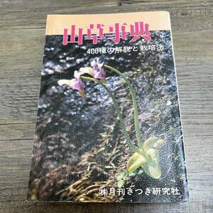 J-2220■山草事典 400種の解説と栽培法■草花 植物■月刊さつき研究社■（1980年）昭和55年6月1日 第2版