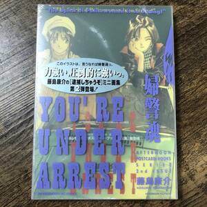 J-2290■未開封 逮捕しちゃうぞ ポストカード・ブック第2集 婦警魂■藤島康介/著■講談社■