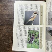 J-2824■にいがた野鳥日誌■帯付き■風間辰夫/著■新潟日報事業社■平成21（2009）年8月20日 初版発行■_画像6