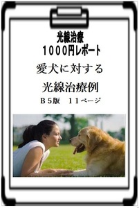 愛犬　光線治療１1００円レポート　「愛犬に対する光線治療例」　Ｂ５版１１ページ　コウケントー　光線治療器 