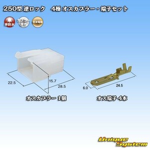 住友電装 250型 逆ロック 4極 オスカプラー コネクター・端子セット