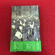 a-501 野草ハンドブック1 春の花　冨成忠夫　著　株式会社山と渓谷社　1988年6月25日21版発行　アウトドア　植物　夏　秋の花　※1_画像2