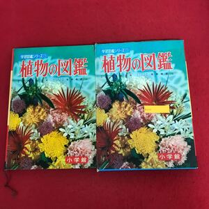 a-514 小学館の学習図鑑シリーズ① 植物の図鑑 小学館 昭和44年4月20日改訂27版発行 花 野草 解説 教育 ※1