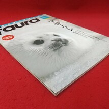 c-505※1 faura 2010年12月号 2010年12月15日 発行 有限会社ナチュラリー 雑誌 北海道 紋別 アザラシ 写真 生態 動物 エゾリス_画像2