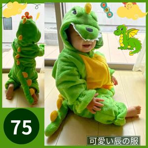 龍 辰年 恐竜 衣装 コスプレ こども 幼児 キッズ 年賀状 75 ★歳末セール★ 