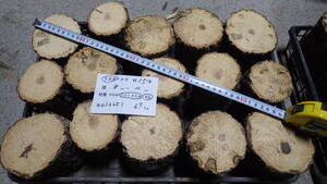 産卵木　くぬぎ 　15本　ＮＯ、12251　約 6.5ｋｇ　100サイズ　☆奈良県ＰＯＷＥＲ☆