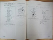 D12●HONDA ホンダ STREAM ストリーム サービスマニュアル 構造・整備編 2006-01CBA-RN1/3/5 ABA-RN2/4 2100001～ 整備書 230801_画像7