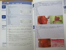 B87●歯科CBT対策 CBT PASS 計2冊セット 問題集1 基礎系 連問/問題集2 臨床系 第3版 現行版コア・カリキュラム平成28年度改訂版対応 230324_画像6