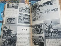 c02〇 送料無料 美品 『 科学大観 第1号～11号 11冊セット 』 世界文化社 昭和30年代 動物 交通 地球 魚介 電気 昆虫 人体 天文 熱 231020_画像10