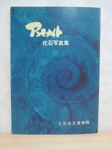 D50☆ 【 絶版 】 アンモナイト化石写真集 三笠市立博物館 1988年 北海道 年代 分類 地層 産地 アンモナイト化石写真集編集委員会 230511
