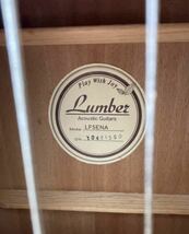 Lumber LF5ENA エレアコ_画像5