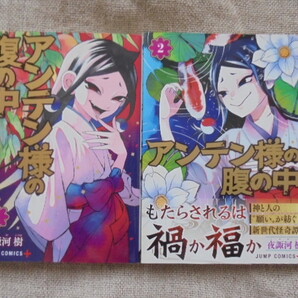 アンテン様の腹の中 第1・2巻 著者: 夜諏河樹