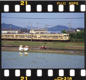 クハ115-607 分散クーラー 田園風景