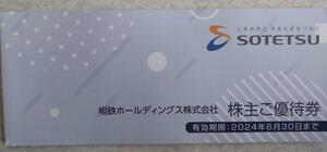 最新　相鉄ホールディングス株主優待券冊子