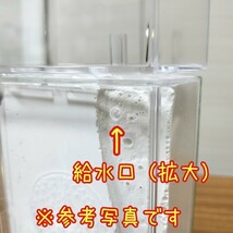 【残り4つ】■アリの巣■　（石膏巣+餌場付）　蟻マシーン　アリ飼育　アリの飼育　観察　石膏　蟻の飼育　蟻の石膏巣　　_画像4