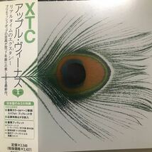 XTC ★アップル・ヴィーナス　国産帯付きCD_画像1