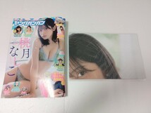 【販売終了品：特別付録特大両面ポスター付】桃月なしこさん掲載ヤングガンガンNo.23(2023年) ゼロイチファミリア 桃月 なしこ_画像1