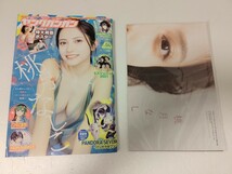 【販売終了品：特別付録特大両面ポスター付】桃月なしこさん掲載ヤングガンガンNo.4(2022年2月18日号) ゼロイチファミリア 桃月 なしこ_画像1