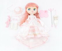 【中古品】Blythe ネオブライス デインティビスケット　タカラトミー 人形 ドール 全高28.5cm：_画像7