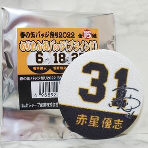 赤星優志　春の缶バッジ祭り2022　ちりめん缶バッジ　ジャイアンツ　読売巨人軍　アジアプロ野球チャンピオンシップ