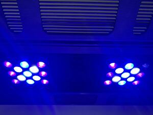 Maxspect Razor R420R 130W LED