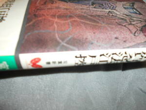 異人の作家　宮崎　惇『甲賀忍法江戸控』双葉新書　昭和５１年