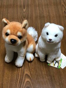 ほっこり柴犬 茶々ノ助 ふてしばくん CUTEお座り