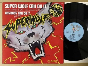 試聴 Denise Lasalle I'm So Hotを サンプリング LP未発売 オールドスクール Super Wolf Can Do It 12 ダンクラ MURO フリーソウル