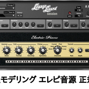 エレピ音源　未使用正規品　Applied Acoustics Systems Lounge Lizard Session