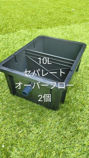 メダカ飼育ボックス 仕切りあり 10L 2個 オーバーフロー機能