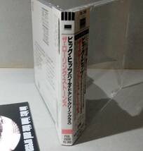 ★ ザ・ローリング・ストーンズ『 BIG HITS [HIGH TIDE AND GREEN GRASS] 』THE ROLLING STONES ★_画像6