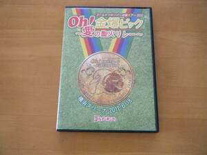 ゴールデンボンバー oh! 金爆ピック　～愛の聖火リレー～　横浜アリーナ2012/6/18