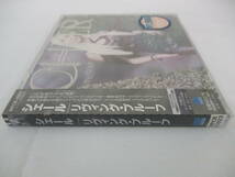 未開封 2001年 シェール CHER リヴィング・プルーフ LIVING PROOF WPCR-10923 CD 当時物 洋楽_画像3