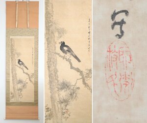 【真作】　橋本関雪　帝国美術院会員　花鳥　絹本軸装　掛軸　書画　日本画　新南画