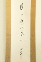 【真作】　高野山真言宗管長　森寛紹（森白象）　俳句　紙本軸装　掛軸　書画　_画像7