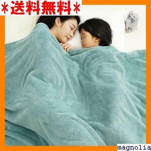 ★送料無料★ シングル Lazy 冬用 ブランケット 四季適用 bl 140X 0cm ・毛布 吸湿発熱 丸洗いOK 洗える 15