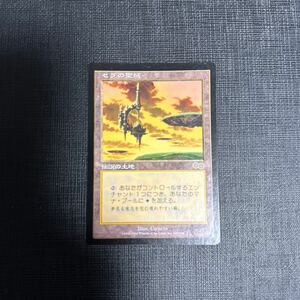 MTG セラの聖域 日本語版②