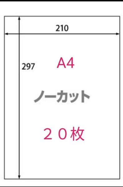 ラベルシート　ノーカット　20枚