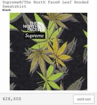 【送料無料・Mサイズ】Supreme 23aw The North Face Leaf Hooded Sweatshirt / Black / シュプリーム ノースフェイス_画像2