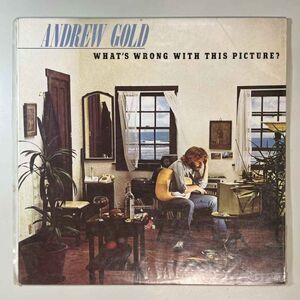 42026★良盤【US盤】 Andrew Gold / What's Wrong With This Picture?