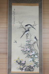 【勝幡】【掛軸】〈徐楨〉『花鳥図』（紙本肉筆）中国画 人物図 山水図 花鳥図 日本 時代物 古画 掛け軸Y02