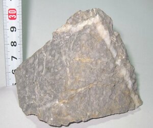 日本の化石　愛媛県久万高原町のフズリナ石灰岩