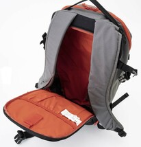 DAKINE/ダカイン HELI PRO/へリプロ STG 24L バックパック backpack snowboard backcountry バックカントリー snow スノーボード_画像4