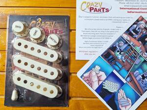 新品未使用 CRAZYPARTS AOA Pre-CBSスタイル エイジドヴィンテージホワイトアクセサリーセット Fender Stratocaster 