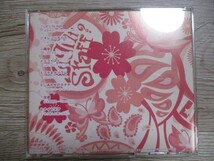 BT　D2　送料無料♪【　Light？ staff　K点　】中古CD　_画像2