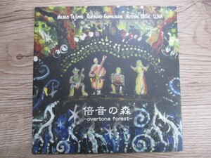 ZZ　N5　送料無料♪【　倍音の森　～overtone forest～　】中古CD　