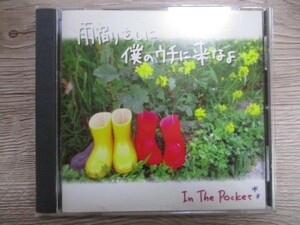 ZZ　M2　送料無料♪【　雨宿りをしに僕のウチに来なよ/　In The Pocket　】中古CD　