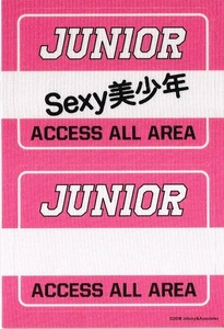 ジャニーズJr. Sexy美少年★チャンネル ステッカー ジャニーズショップ公式