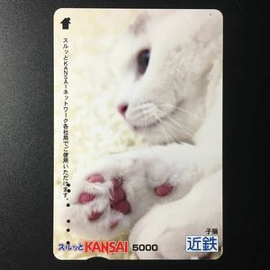 近鉄/2008年6月1日発売開始柄ー「子猫」(使用済スルッとKANSAI)
