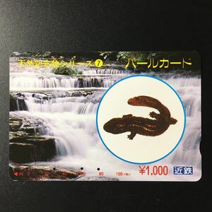 近鉄/シリーズカードー天然記念物シリーズ7「オオサンショウウオ」パールカード(使用済スルッとKANSAI)